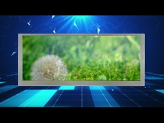 شاشة LCD عريضة مقاس 10.3 بوصة بدقة 1280*480 لشاشة السيارة