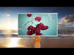 كل زاوية الرؤية 10.1 بوصة وحدات LCD لمسة المقاومة